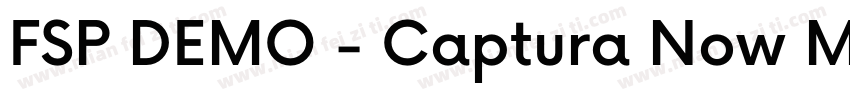 FSP DEMO - Captura Now Medium字体转换